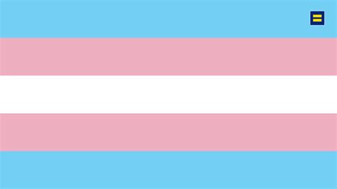 Trans woman Monica Helms created the Trans Pride flag and first flew it at a Pride Parade in Phoenix, Arizona in 1999. . Pornhub trans flag